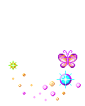 Meda