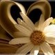 dor_cas