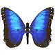 ama33